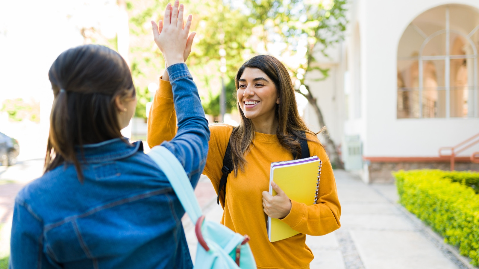 Stypendia do Republiki Austrii na rok akademicki 2026/2027