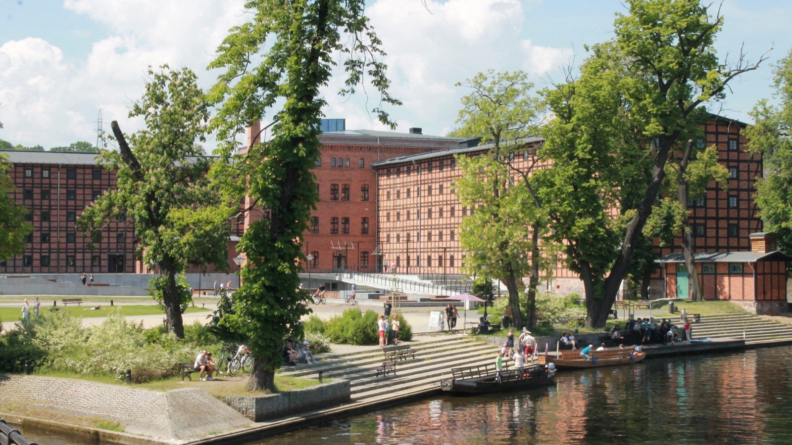 Piknik Kazimierza Wielkiego na Wyspie Młyńskiej – dzień pełen atrakcji